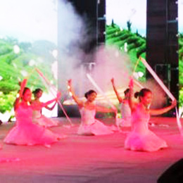 �V���赸��ˇ���o��˾