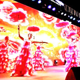 �V�ݸ�����ˇ���o��˾