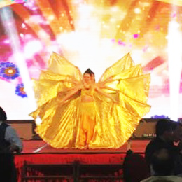 �V�ݸ������ˇ���o��˾