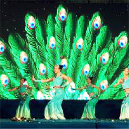 �V�ݸ��轛�o��˾