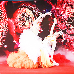 �V���赸�ݳ����o��˾