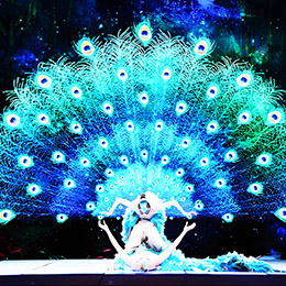 �V�ݸ��轛�o��˾