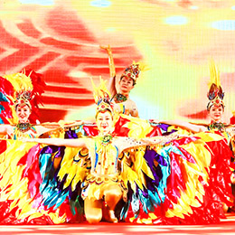 �V�ݸ������ˇ���o��˾