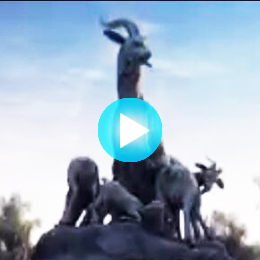 廣州城市形象片制作公司,廣州城市形象宣傳片制作公司,廣州城市形象宣傳片拍攝制作公司