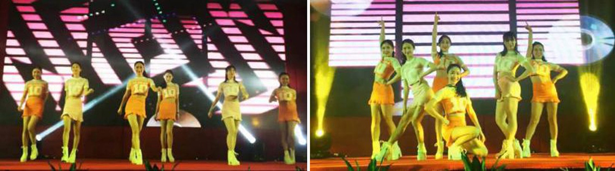 �V�ݸ����ݳ����o��˾