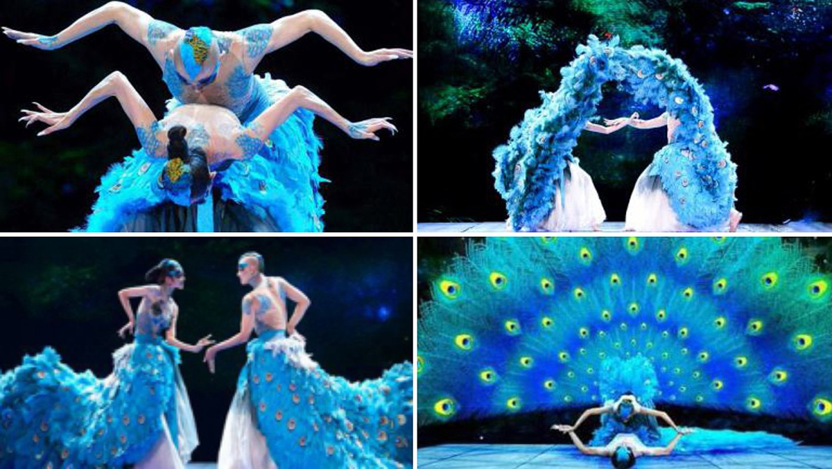 �V�ݸ��轛�o��˾